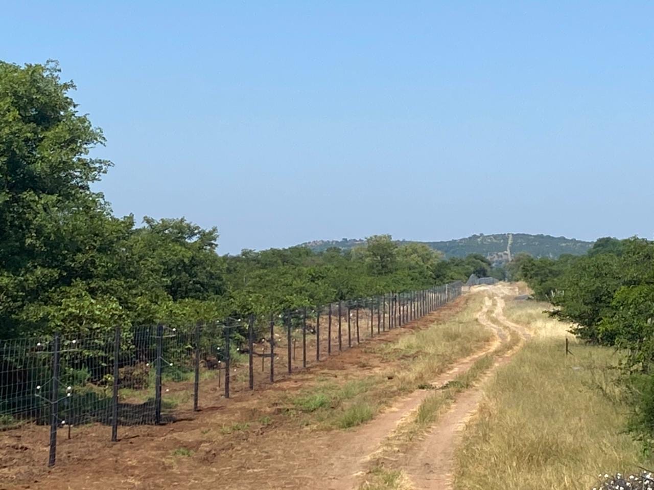 4bcb2a92 8e44 4848 9c12 aa1c4a3a6240