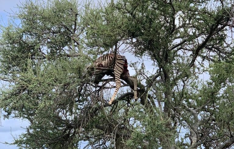 9083a566 5bcc 46a4 9a13 e94b3f81cd1d e1657546848502