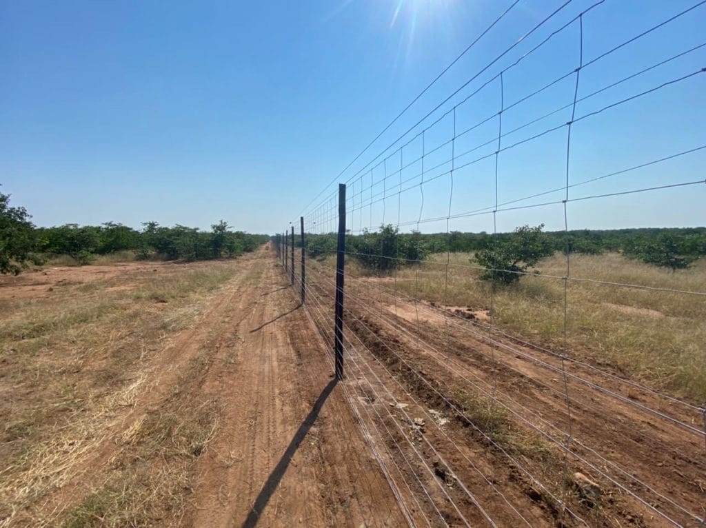 Tuli backline fence 1